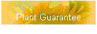 Plant Guarantee