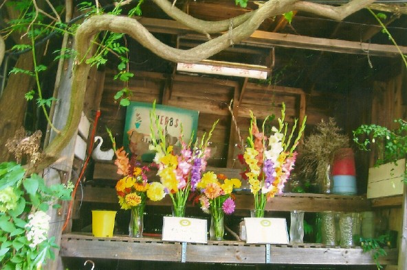 Cut FLower Stand