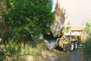 Tree Move