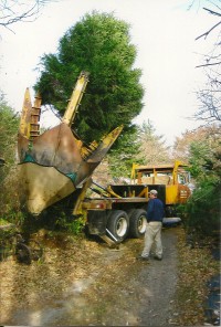 Tree Move