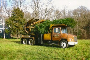 Tree Move