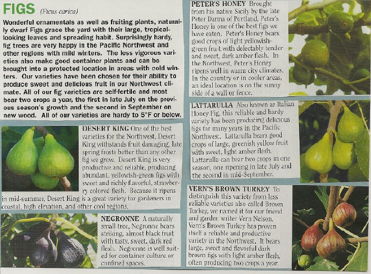 Unique Fruits